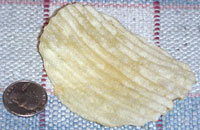 Enormous potato chip from bag of Lance Chip Thunder