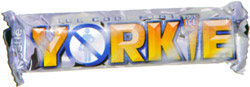 Yorkie Blue Ice